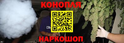 гидропоника Кингисепп