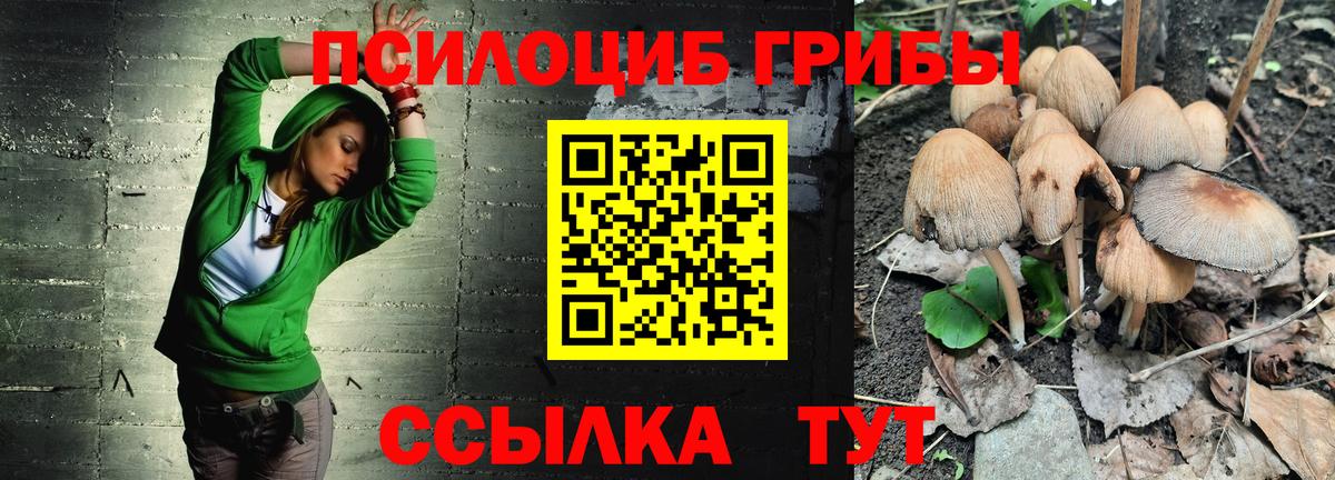 Галлюциногенные грибы MAGIC MUSHROOMS  Вход с VPN  Великие Луки 